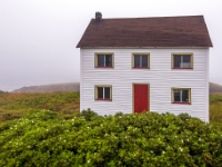 Puffin Viewing Site